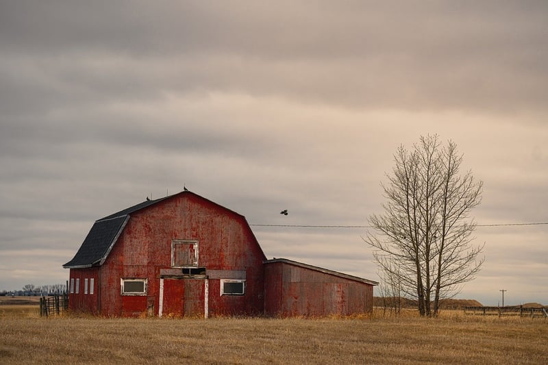 Rustic Barn Chic